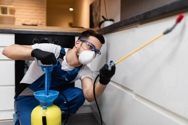 Best Flea Control Services  in Scotts Valley, CA