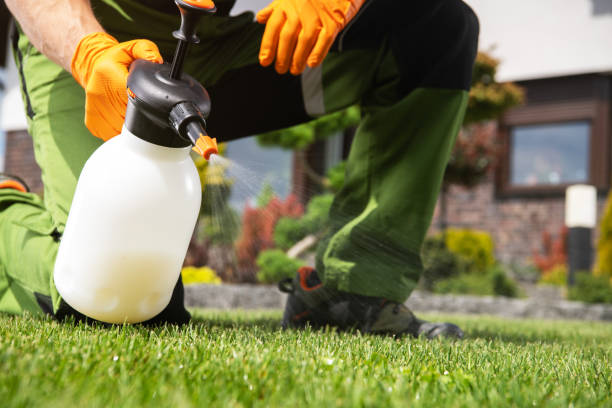 Best Best Pest Control Companies  in Scotts Valley, CA