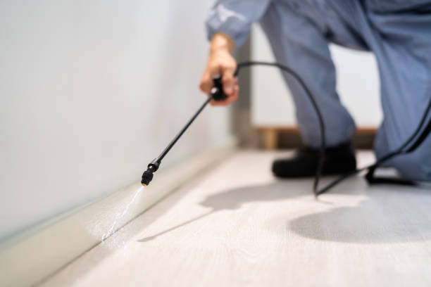 Scotts Valley, CA Pest Control Company