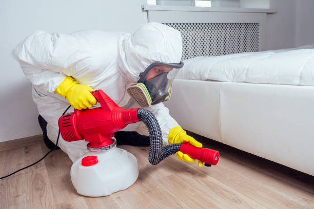 Best Best Pest Control Companies  in Scotts Valley, CA