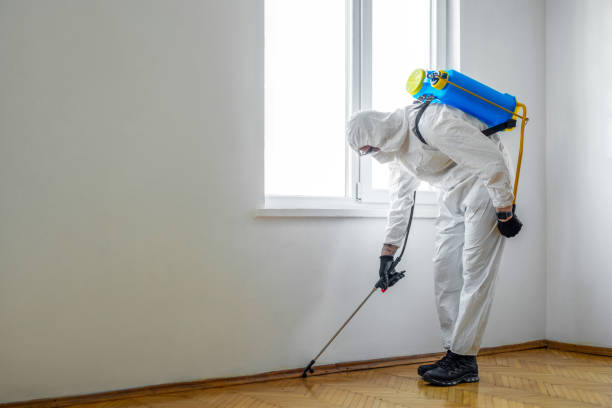 Best Pest Control Near Me  in Scotts Valley, CA