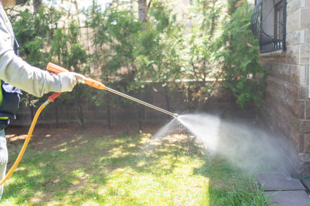 Best Affordable Pest Control Services  in Scotts Valley, CA
