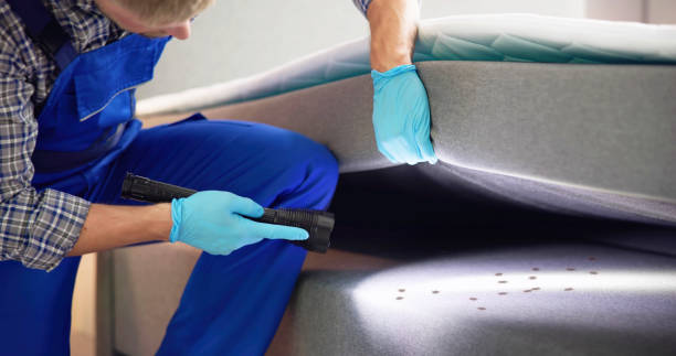 Best Rat Extermination Near Me  in Scotts Valley, CA