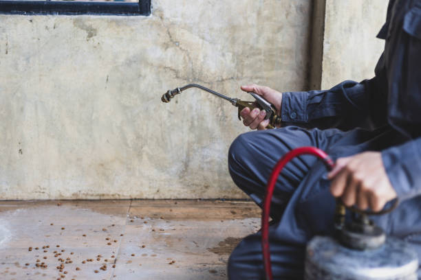 Best Pest Control Near Me in Scotts Valley, CA