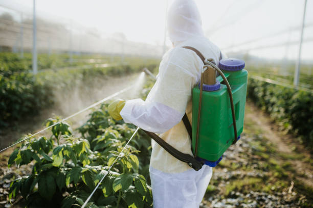 Best Pest Prevention Services  in Scotts Valley, CA